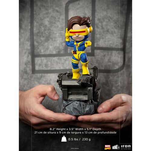 X-Men Cyclops MiniCo Vinyl Figure
X-Men Iron Studios Vinyl Figures
Item Number: RN3128310WNK1