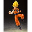 Dragon Ball Z Super Saiyan Full Power Son Goku S.H.Figuarts Action Figure. Item Number: BLFBAS61385W