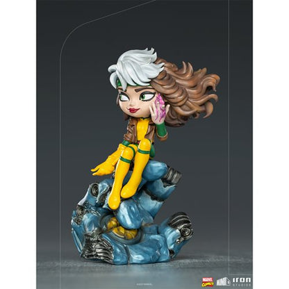 X-Men Rogue MiniCo Vinyl Figure
X-Men Iron Studios Vinyl Figures and Banks
Item Number: RN3128327WNK
