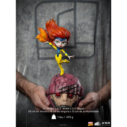 X-Men Jean Grey MiniCo Vinyl Figure
X-Men Iron Studios Vinyl Figures
Item Number: RN3128358WKN1