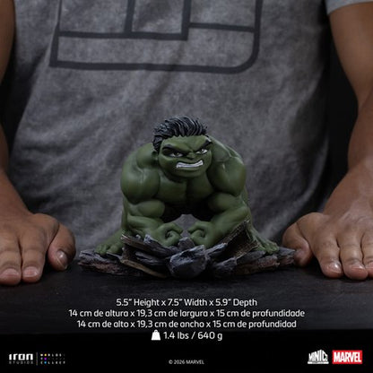 Spider-Man: Brand New Day Hulk Minico Vinyl Figure
Spider-Man Iron Studios Vinyl Figures
Item Number: RN36617WNK1