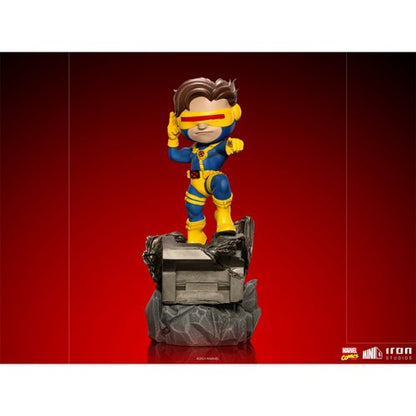 X-Men Cyclops MiniCo Vinyl Figure
X-Men Iron Studios Vinyl Figures
Item Number: RN3128310WNK1