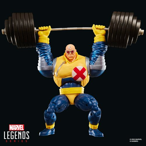 X-Factor Marvel Legends Strong Guy 6-Inch Action Figure
X-Men Hasbro Action Figures

Item Number: HSG1869