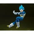 Dragon Ball Super Super Saiyan God Super Saiyan Vegeta Unwavering Saiyan Pride S.H.Figuarts Action Figure
Dragon Ball Bandai Tamashii Nations Action Figures. Item Number: BLFBAS66458