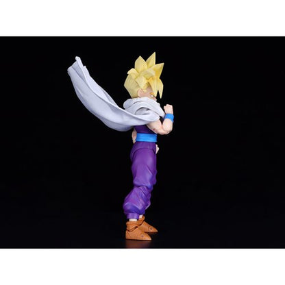Dragon Ball Z Super Saiyan Son Gohan The Warrior Who Surpassed Goku S.H.Figuarts Action Figure
Dragon Ball Bandai Tamashii Nations Action Figures. Item Number: BLFBAS65554a