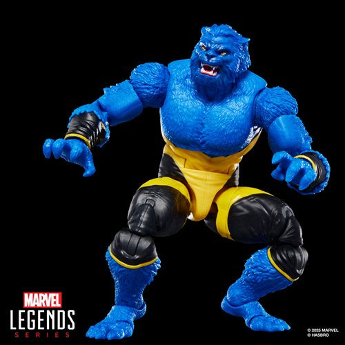 Marvel Legends Comics-Inspired 6-Inch Action Figures Wave 2 Case of 6
Marvel Hasbro Action Figures. Item Number: HSG0634Aa