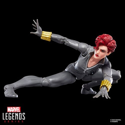 Marvel Legends Comics-Inspired 6-Inch Action Figures Wave 2 Case of 6
Marvel Hasbro Action Figures. Item Number: HSG0634Aa