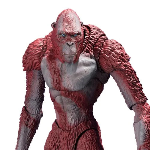 Godzilla x Kong: The New Empire Skar King S.H.MonsterArts Action Figure
Godzilla vs. Kong Bandai Tamashii Nations Action Figures. Item Number: BLFBAS66752a