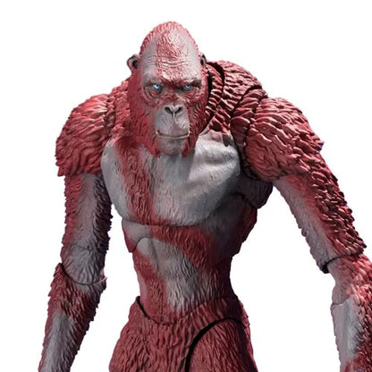 Godzilla x Kong: The New Empire Skar King S.H.MonsterArts Action Figure
Godzilla vs. Kong Bandai Tamashii Nations Action Figures. Item Number: BLFBAS66752a