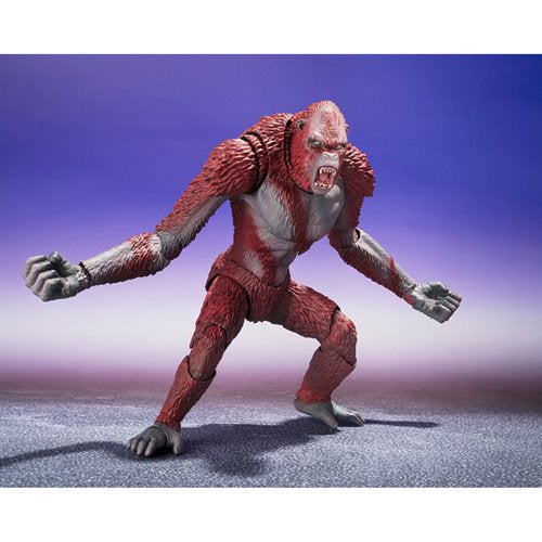 Godzilla x Kong: The New Empire Skar King S.H.MonsterArts Action Figure
Godzilla vs. Kong Bandai Tamashii Nations Action Figures. Item Number: BLFBAS66752a