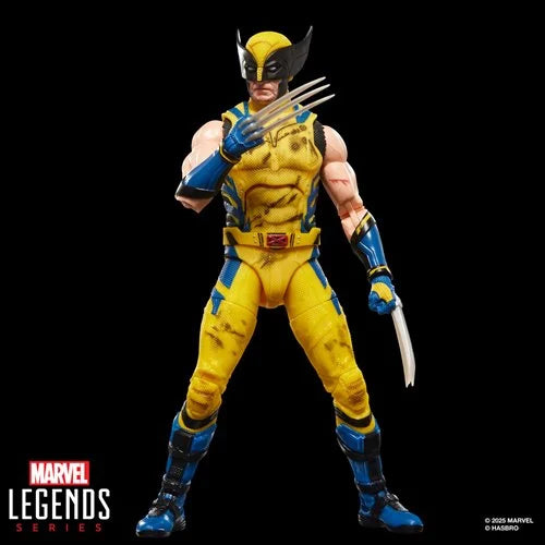Deadpool & Wolverine Marvel Legends Wolverine 6-Inch Action Figure
Deadpool Hasbro Action Figures
Item Number: HSG2365WNK
